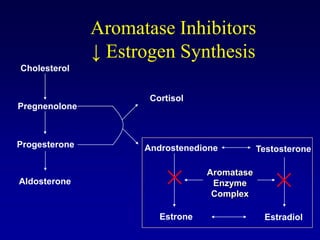 Aromatase Inhibitors
               ↓ Estrogen Synthesis
Cholesterol


                      Cortisol
Pregnenolone



Progesterone         Androstenedione          Testosterone

                                  Aromatase
Aldosterone                        Enzyme
                                   Complex

                        Estrone                Estradiol
 