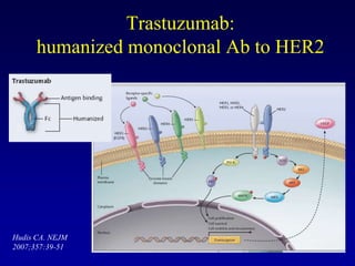 Trastuzumab:
      humanized monoclonal Ab to HER2




Hudis CA. NEJM
2007;357:39-51
 
