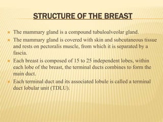 STRUCTURE OF THE BREAST
 The mammary gland is a compound tubuloalveolar gland.
 The mammary gland is covered with skin and subcutaneous tissue
and rests on pectoralis muscle, from which it is separated by a
fascia.
 Each breast is composed of 15 to 25 independent lobes, within
each lobe of the breast, the terminal ducts combines to form the
main duct.
 Each terminal duct and its associated lobule is called a terminal
duct lobular unit (TDLU).
 