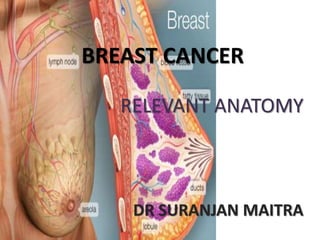 BREAST CANCER
RELEVANT ANATOMY
DR SURANJAN MAITRA
 