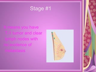 Stage #1 It means you have  T-1 tumor and clear lymph nodes with  no evidence of metastasis  