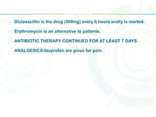 Dicloxacillin is the drug (500mg) every 6 hours orally is started.
Erythromycin is an alternative to patients.
ANTIBIOTIC THERAPY CONTINUED FOR AT LEAST 7 DAYS.
ANALGESICS-Ibuprofen are given for pain.
 