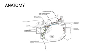 target delineation for breast and axillary nodes contouring.pptx