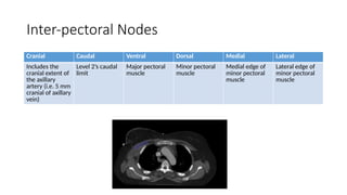 target delineation for breast and axillary nodes contouring.pptx