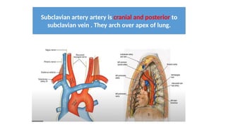 target delineation for breast and axillary nodes contouring.pptx