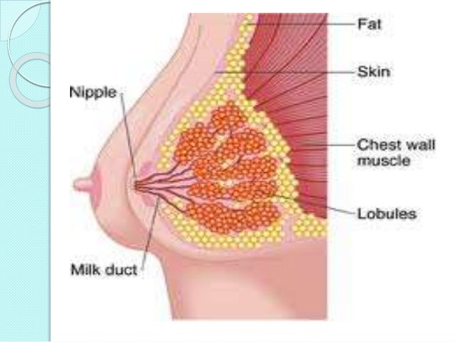 weeks milk 6 supply increase to how Breastengorgement 130621100349 phpapp02