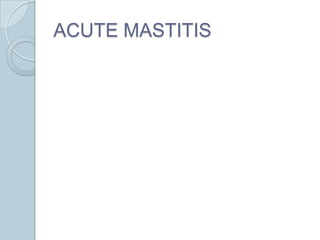 ACUTE MASTITIS