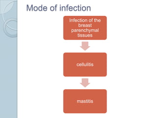 Mode of infection
Infection of the
breast
parenchymal
tissues
cellulitis
mastitis