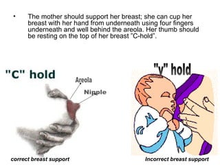 • The mother should support her breast; she can cup her
breast with her hand from underneath using four fingers
underneath and well behind the areola. Her thumb should
be resting on the top of her breast ”C-hold”.
correct breast support Incorrect breast support
 