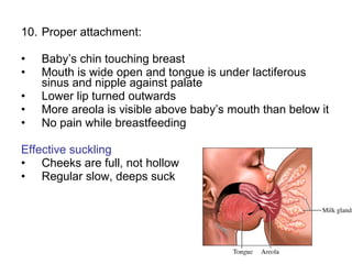 10. Proper attachment:
• Baby’s chin touching breast
• Mouth is wide open and tongue is under lactiferous
sinus and nipple against palate
• Lower lip turned outwards
• More areola is visible above baby’s mouth than below it
• No pain while breastfeeding
Effective suckling
• Cheeks are full, not hollow
• Regular slow, deeps suck
 