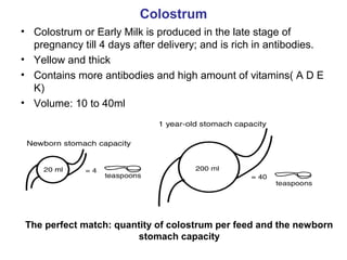 Colostrum
• Colostrum or Early Milk is produced in the late stage of
pregnancy till 4 days after delivery; and is rich in antibodies.
• Yellow and thick
• Contains more antibodies and high amount of vitamins( A D E
K)
• Volume: 10 to 40ml
The perfect match: quantity of colostrum per feed and the newborn
stomach capacity
 