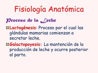 Fisiología Anatómica
Proceso de la Leche
Lactogénesis: Proceso por el cual las
glándulas mamarias comienzan a
secretar leche.
Galactopoyesis: La mantención de la
producción de leche y ocurre posterior
al parto.

 