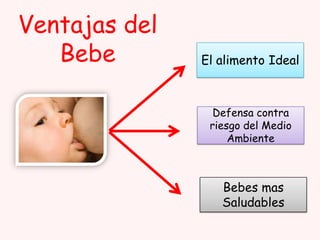 Ventajas del
Bebe

El alimento Ideal

Defensa contra
riesgo del Medio
Ambiente

Bebes mas
Saludables

 