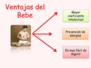 Ventajas del
Bebe

Mayor
coeficiente
intelectual

Prevención de
alergias

Es mas fácil de
digerir

 