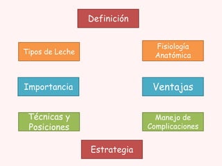 Definición

Tipos de Leche

Fisiología
Anatómica

Importancia

Ventajas

Técnicas y
Posiciones

Manejo de
Complicaciones

Estrategia

 