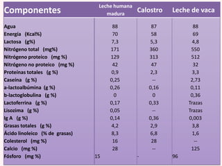 Componentes
Agua
Energía (Kcal%)
Lactosa (g%)
Nitrógeno total (mg%)
Nitrógeno proteico (mg %)
Nitrógeno no proteico (mg %)
Proteínas totales (g %)
Caseína (g %)
a-lactoalbúmina (g %)
b-lactoglobulina (g %)
Lactoferrina (g %)
Lisozima (g %)
Ig A (g %)
Grasas totales (g %)
Ácido linoleico (% de grasas)
Colesterol (mg %)
Calcio (mg %)
Fósforo (mg %)

Leche humana
madura

Calostro

88
70
7,3
171
129
42
0,9
0,25
0,26
0
0,17
0,05
0,14
4,2
8,3
16
28
15

Leche de vaca

87
58
5,3
360
313
47
2,3
-0,16
0
0,33
-0,36
2,9
6,8
28
--

88
69
4,8
550
512
32
3,3
2,73
0,11
0,36
Trazas
Trazas
0,003
3,8
1,6
-125
96

 