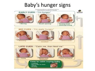 Baby’s hunger signs
 