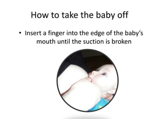 How to take the baby off
• Insert a finger into the edge of the baby’s
mouth until the suction is broken
 