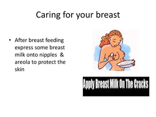 Caring for your breast
• After breast feeding
express some breast
milk onto nipples &
areola to protect the
skin
 