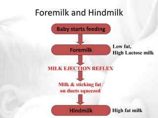 Foremilk and Hindmilk 
Baby starts feeding 
Foremilk 
Low fat, 
High Lactose milk 
MILK EJECTION REFLEX 
Milk & sticking fat 
on ducts squeezed 
Hindmilk High fat milk 
 