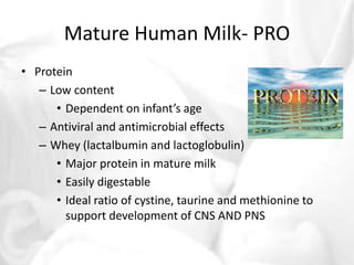 Mature Human Milk- PRO 
• Protein 
– Low content 
• Dependent on infant’s age 
– Antiviral and antimicrobial effects 
– Whey (lactalbumin and lactoglobulin) 
• Major protein in mature milk 
• Easily digestable 
• Ideal ratio of cystine, taurine and methionine to 
support development of CNS AND PNS 
 