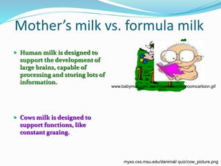 Mother’s milk vs. formula milk 
 Human milk is designed to 
support the development of 
large brains, capable of 
processing and storing lots of 
information. 
 Cows milk is designed to 
support functions, like 
constant grazing. 
www.babymall.com.au/ images/readingroomcartoon.gif 
myxo.css.msu.edu/danimal/ quiz/cow_picture.png 
 
