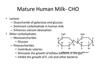 Mature Human Milk- CHO
• Lactose
– Disaccharide of galactose and glucose.
– Dominant carbohydrate in human milk.
– Enhances calcium absorption.
• Other carbohydrates
– Monosaccharides
• Glucose
– Polysaccharides
• Contribute calories
• Stimulate the growth of bifidus bacteria in the gut
• Inhibit the growth of E. coli and other bacteria
 