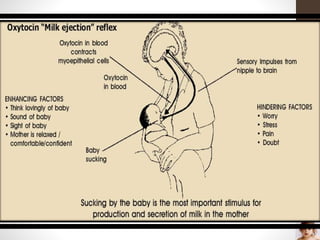 Breast feeding Slide 15