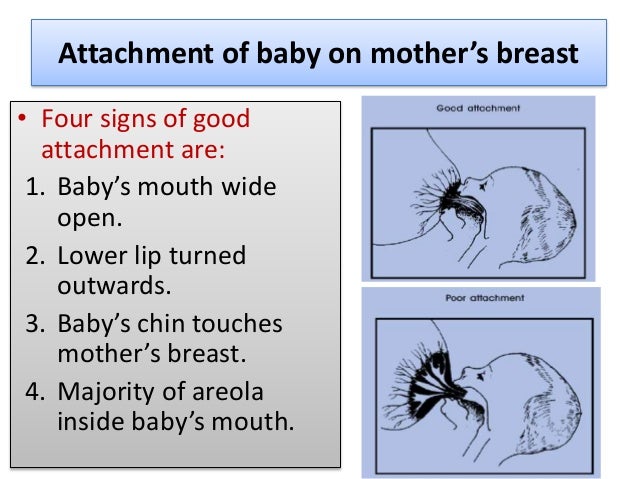 Two Mouth Baby Room Temperature Two Mouth Baby Room Temperature