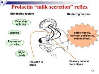 12
Enhancing factors Hindering factors
Emptying
of breast
Sucking
Expression
of milk
Night
feeds
Bottle feeding,
Incorrect positioning,
Painful breast
Sensory impulse
from nipple
Prolactin in
blood
Prolactin “milk secretion” reflex
 