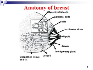 8
Anatomy of breast
Myoepithelial cells
Epithelial cells
ducts
Lactiferous sinus
Areola
Montgomery gland
Alveoli
Supporting tissue
and fat
Nipple
 