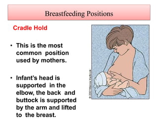 Breastfeeding Positions
Cradle Hold
• This is the most
common position
used by mothers.
• Infant’s head is
supported in the
elbow, the back and
buttock is supported
by the arm and lifted
to the breast.
 