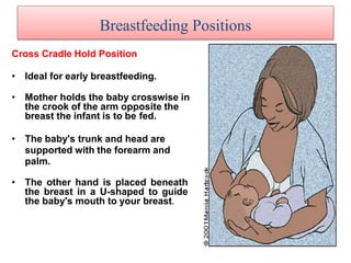 Cross Cradle Hold Position
• Ideal for early breastfeeding.
• Mother holds the baby crosswise in
the crook of the arm opposite the
breast the infant is to be fed.
• The baby's trunk and head are
supported with the forearm and
palm.
• The other hand is placed beneath
the breast in a U-shaped to guide
the baby's mouth to your breast.
Breastfeeding Positions
 