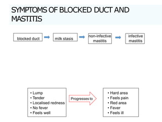 Symptoms of blocked duct and
mastitis
blocked duct milk stasis
non-infective
mastitis
infective
mastitis
• Lump
• Tender
• Localised redness
• No fever
• Feels well
• Hard area
• Feels pain
• Red area
• Fever
• Feels ill
Progresses to
SYMPTOMSOF BLOCKED DUCT AND
MASTITIS
 