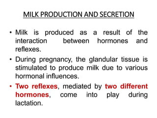 MILK PRODUCTION AND SECRETION
• Milk is produced as a result of the
interaction between hormones and
reflexes.
• During pregnancy, the glandular tissue is
stimulated to produce milk due to various
hormonal influences.
• Two reflexes, mediated by two different
hormones, come into play during
lactation.
 