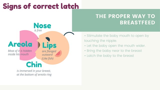 Breastfeeding , Breast Anatomy, Proper way of breastfeeding | PDF ...