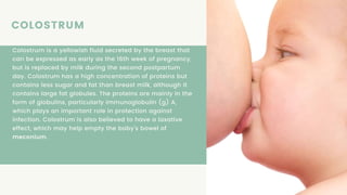 Breastfeeding , Breast Anatomy, Proper way of breastfeeding | PDF