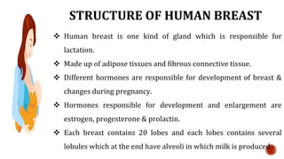 STRUCTURE OF HUMAN BREAST
 Human breast is one kind of gland which is responsible for
lactation.
 Made up of adipose tissues and fibrous connective tissue.
 Different hormones are responsible for development of breast &
changes during pregnancy.
 Hormones responsible for development and enlargement are
estrogen, progesterone & prolactin.
 Each breast contains 20 lobes and each lobes contains several
lobules which at the end have alveoli in which milk is produced .
 