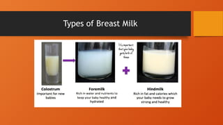 Types of Breast Milk
 