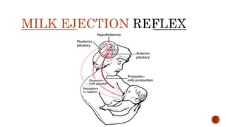 MILK EJECTION
 