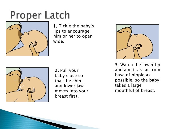Breastfeeding basics