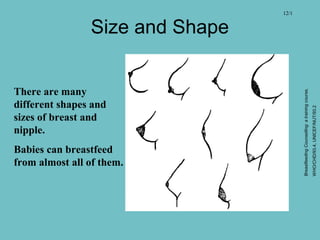 Size and Shape
There are many
different shapes and
sizes of breast and
nipple.
Babies can breastfeed
from almost all of them.
12/1
BreastfeedingCounselling:atrainingcourse,
WHO/CHD/93.4,UNICEF/NUT/93.2
 
