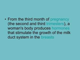 • From the third month of pregnancy
(the second and third trimesters), a
woman's body produces hormones
that stimulate the growth of the milk
duct system in the breasts
 