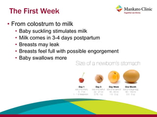breastfeeding_powerpoint_mar_3_2021.pptx
