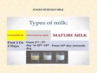 STAGES OF HUMAN MILK
 