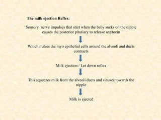 The milk ejection Reflex:
Sensory nerve impulses that start when the baby sucks on the nipple
causes the posterior pitutiary to release oxytocin
Which makes the myo epithelial cells around the alveoli and ducts
contracts
Milk ejection / Let down reflex
This squeezes milk from the alveoli ducts and sinuses towards the
nipple
Milk is ejected
 
