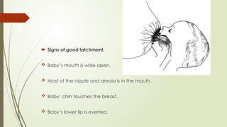 BREASTFEEDING ppt.pptxin in detailed explanation | PPTX