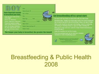 Breastfeeding & Public Health
2008
 