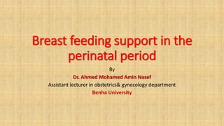 Breast feeding support in the
perinatal period
By
Dr. Ahmed Mohamed Amin Nasef
Assistant lecturer in obstetrics& gynecology department
Benha University
 