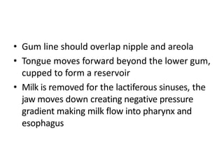 • Gum line should overlap nipple and areola
• Tongue moves forward beyond the lower gum,
cupped to form a reservoir
• Milk is removed for the lactiferous sinuses, the
jaw moves down creating negative pressure
gradient making milk flow into pharynx and
esophagus
 